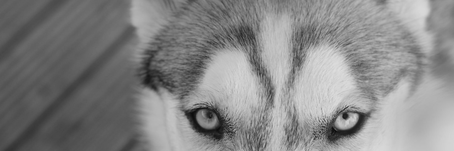 JordanRmuffin's profile banner image