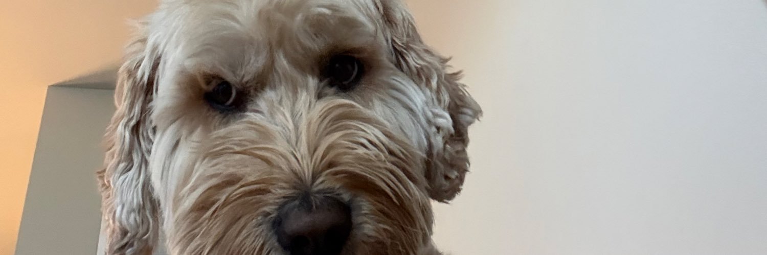 brizzooke's profile banner image
