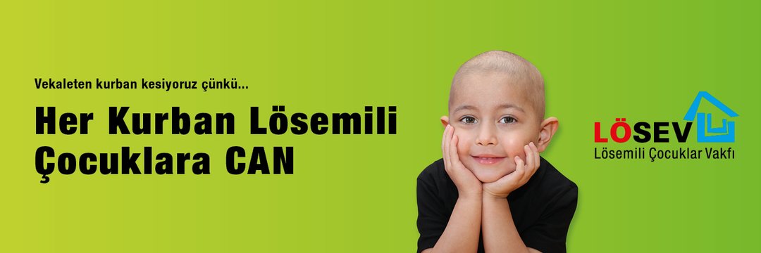 NeclaAltndag's profile banner image