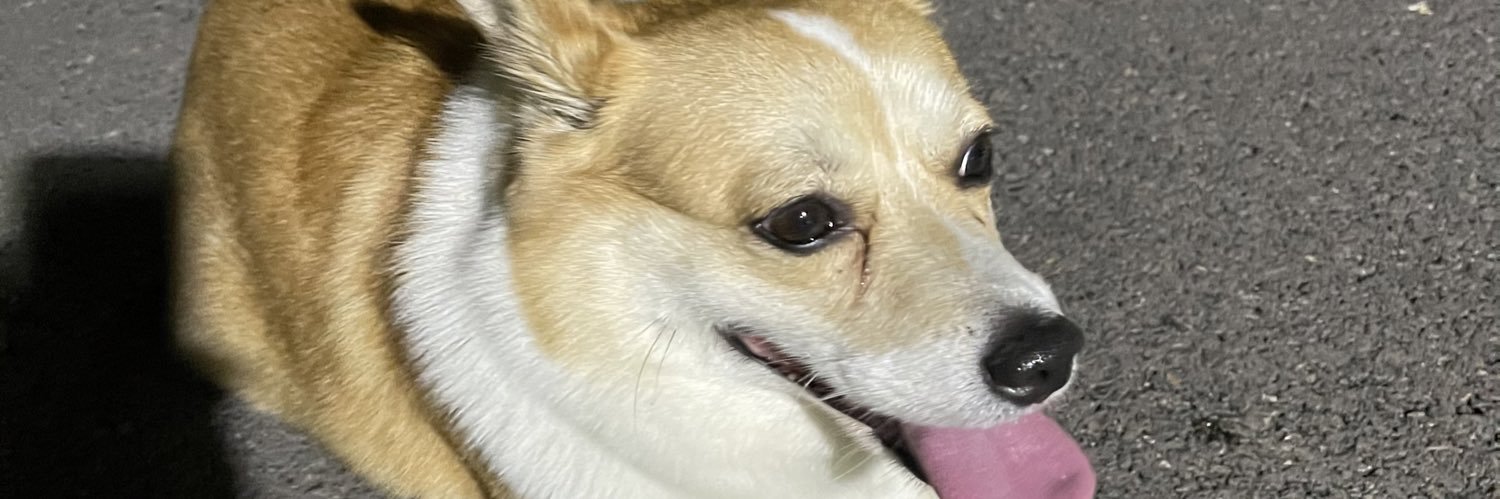TYTianTY's profile banner image