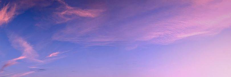 ryanholidaysays's profile banner image
