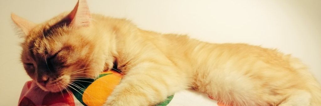 Angela banner