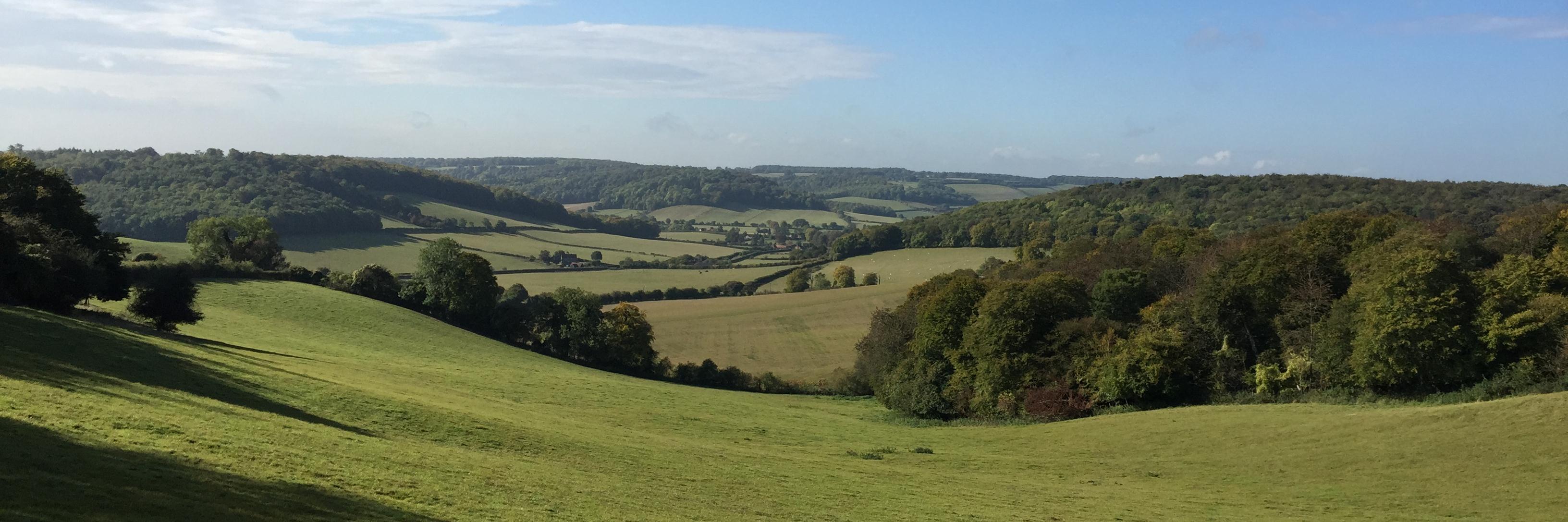 Pantons Property Advisors banner