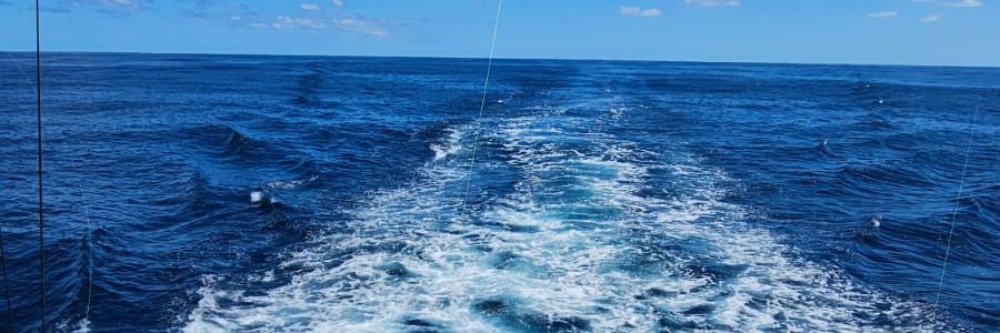 egert_beatriz's profile banner image