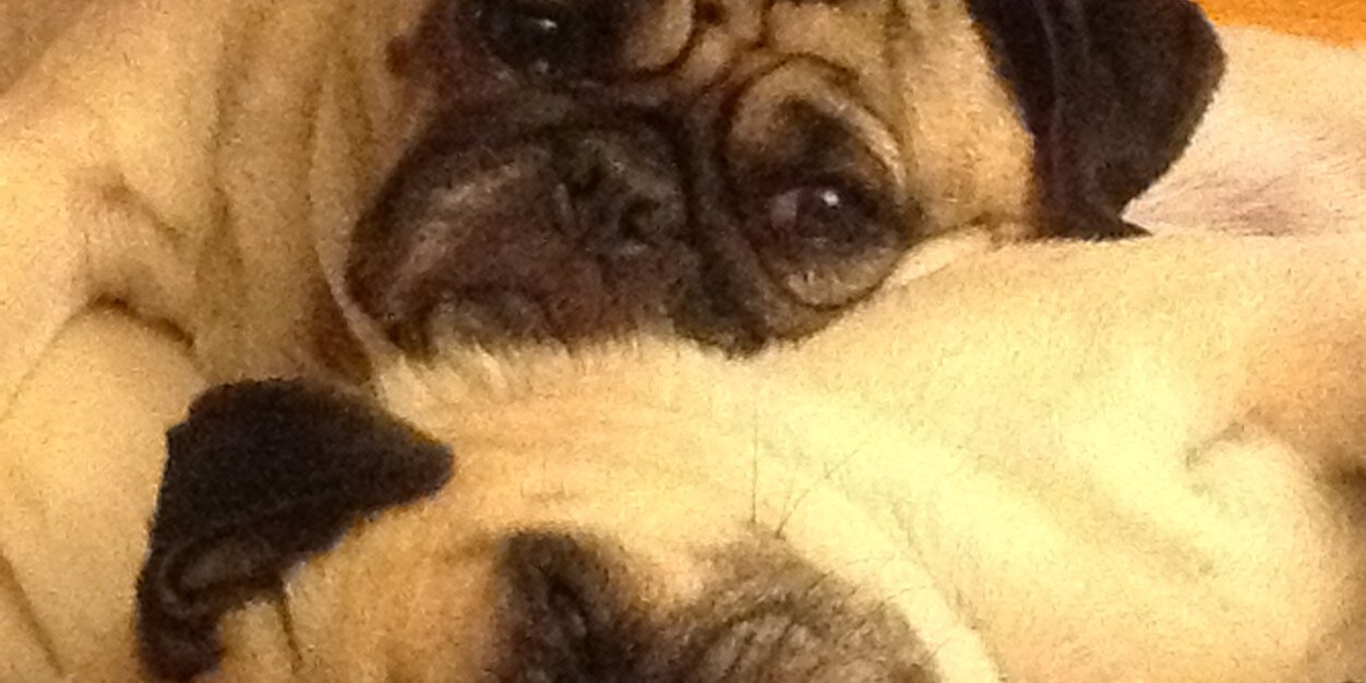 FatAssFranky's profile banner image