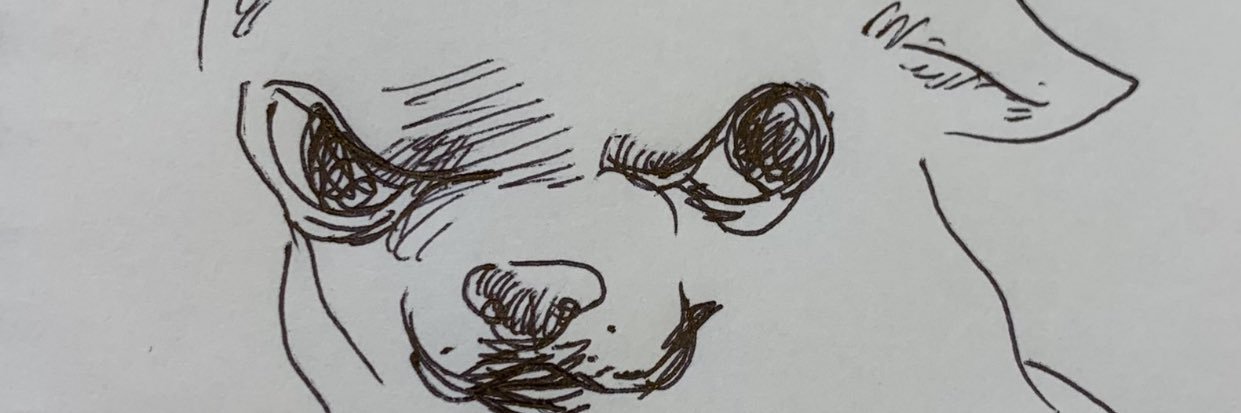 CheewawaLover's profile banner image