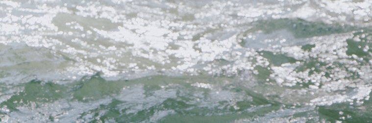 haileylearmonth's profile banner image