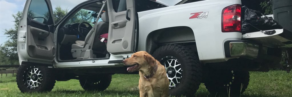 Raging_Gingerrr's profile banner image