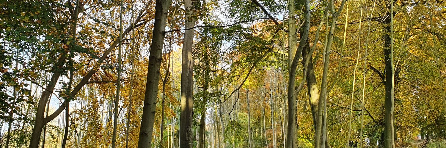 Tom Freshwater banner