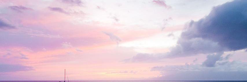 stevemaraboli1's profile banner image
