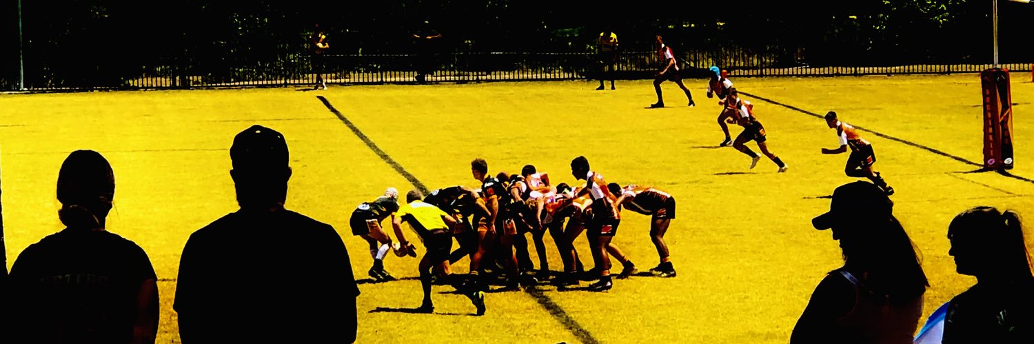 RochedaleTigers's profile banner image