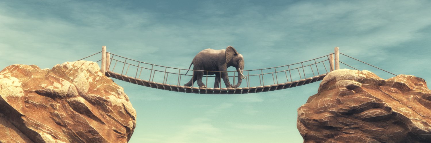 Elisabeth White banner