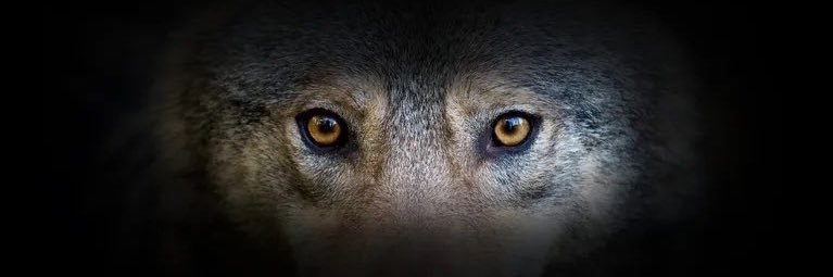gab_fine's profile banner image