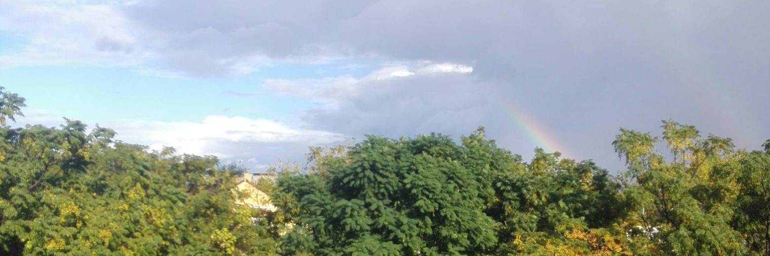 crisvazqe's profile banner image