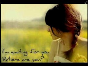 Bunga_Romantika's profile banner image