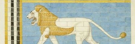Ahmed Ali banner