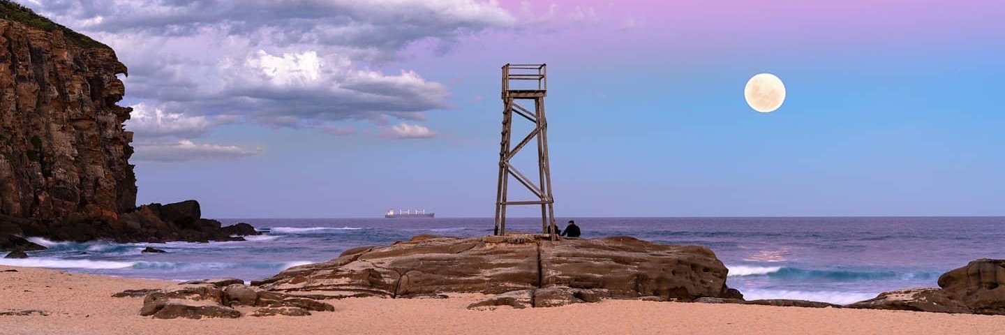 A Curious Ape banner