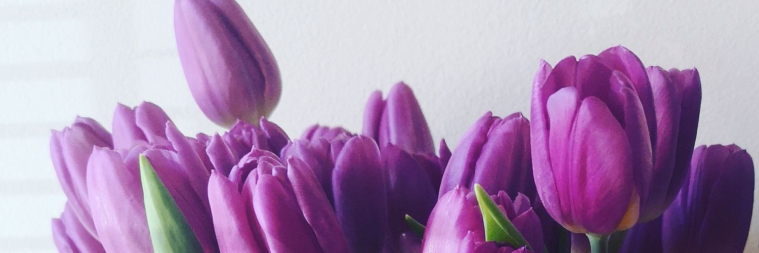 joannaholmes's profile banner image