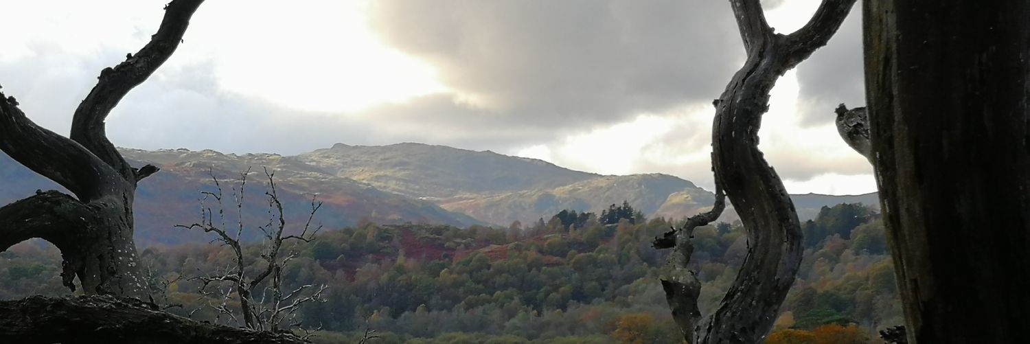 dudgeont1's profile banner image