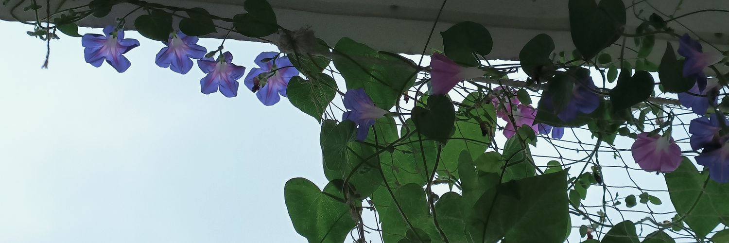 Pujitha Krishnan banner