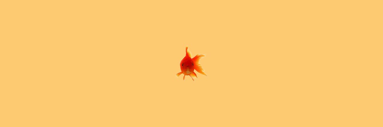 MiaShell123's profile banner image