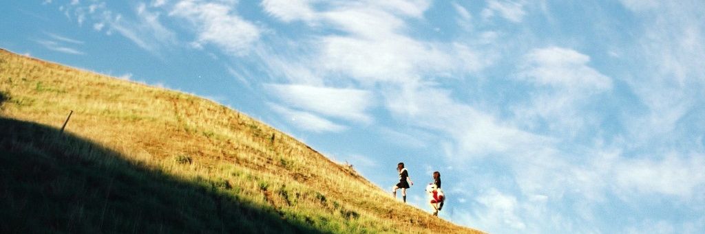 Summer Twins banner