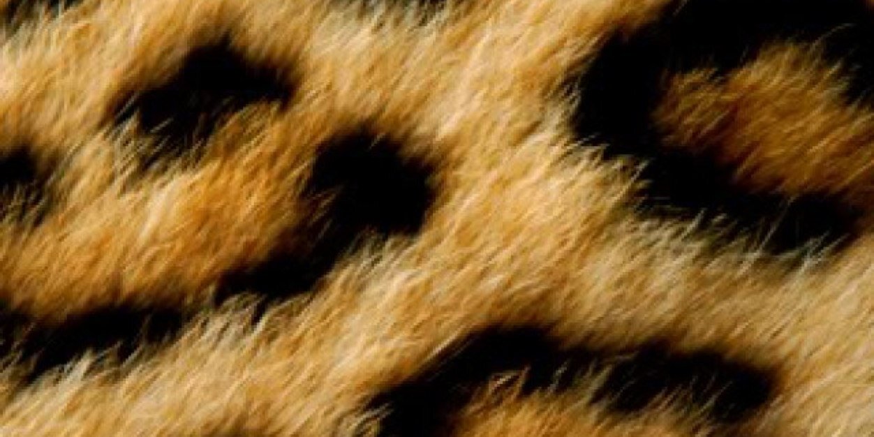 Debbi0413's profile banner image