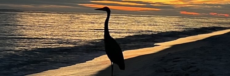 utkaye's profile banner image