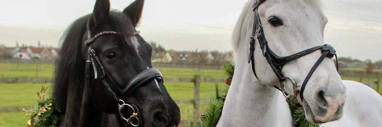 Julesp69's profile banner image