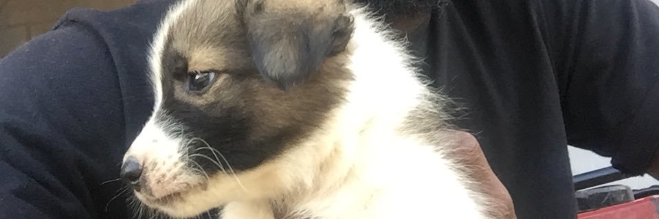 berms_boi's profile banner image