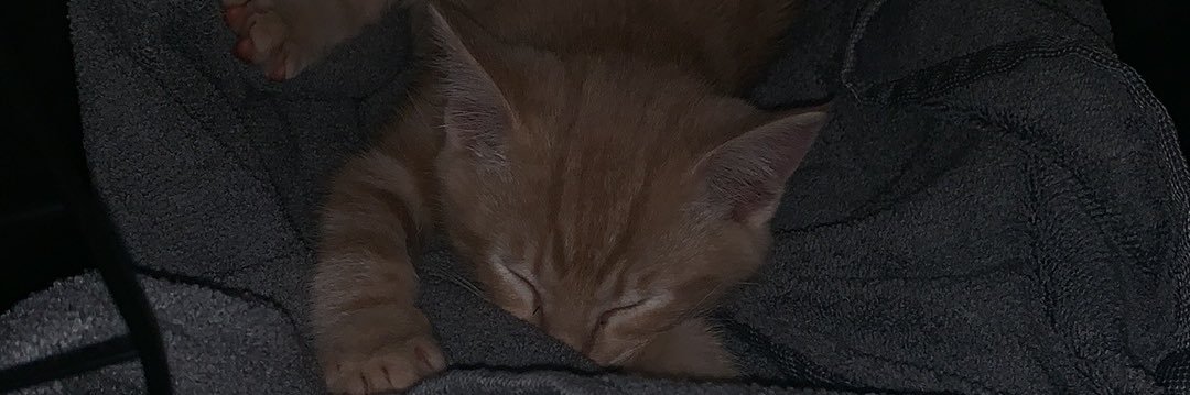 harleysnel's profile banner image