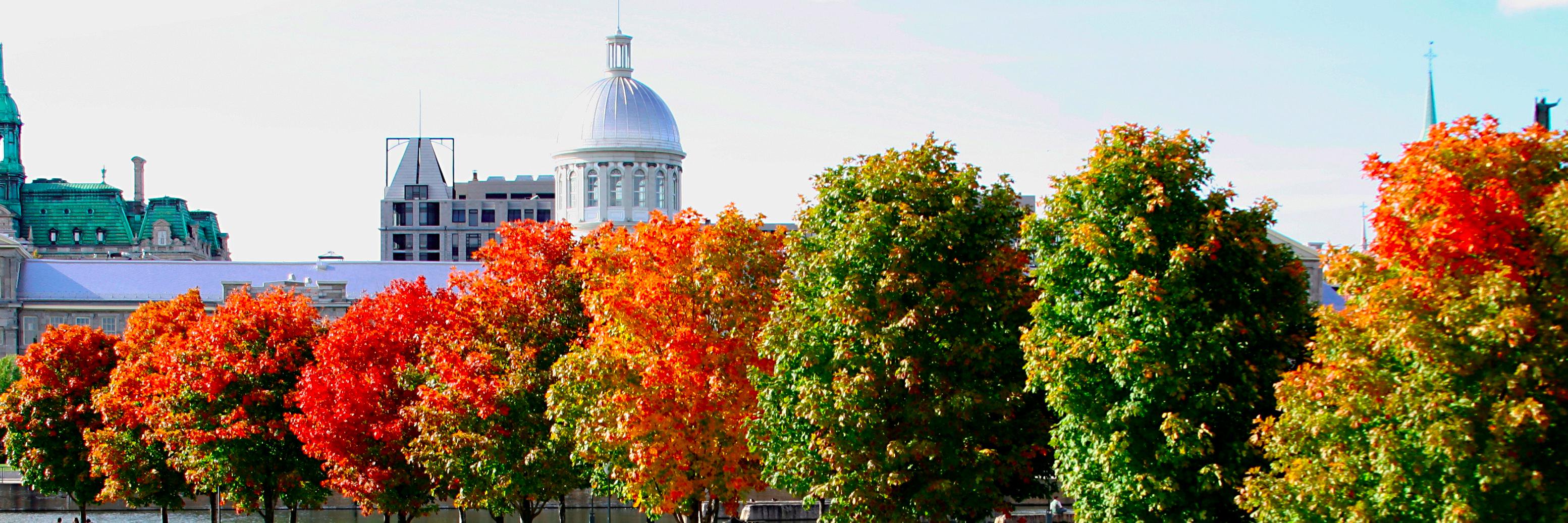 IEEE Montréal banner