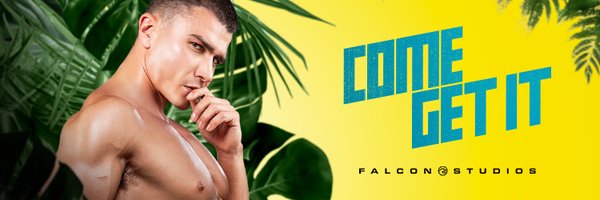 FalconStudiosPR Profile Banner