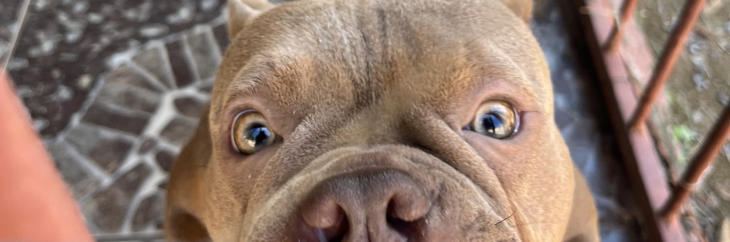 nathBP2's profile banner image
