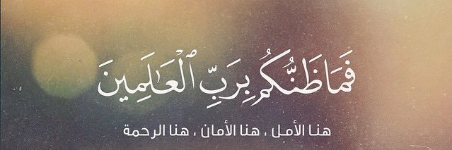 محمد آلبوسعيدي's banner