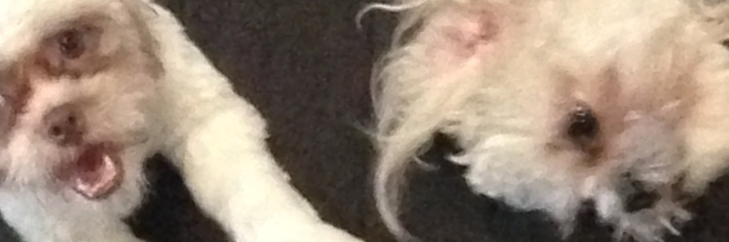 LdotGperiod's profile banner image
