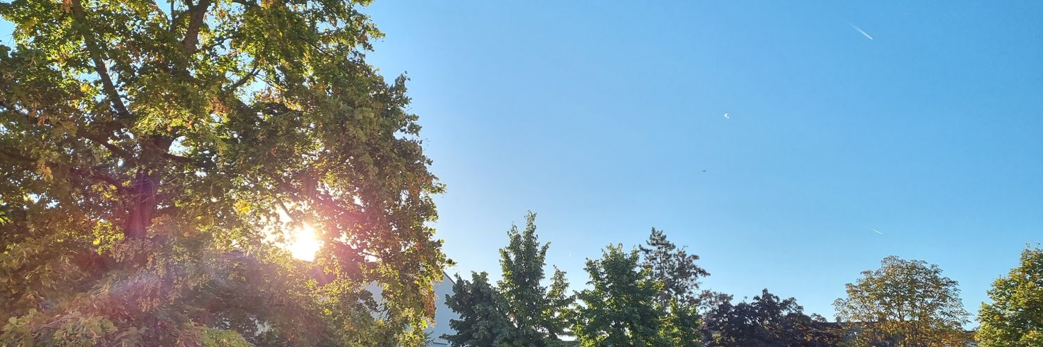 Mariya1x's profile banner image