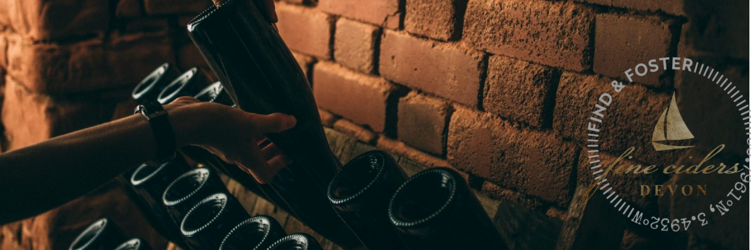 Find & Foster banner