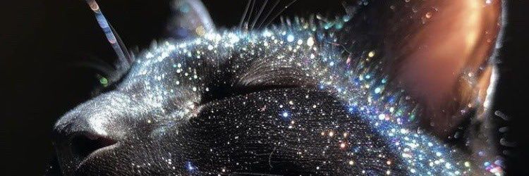 ßae ( ͡° ͜ʖ ͡°) 🔜 Anime Detour banner