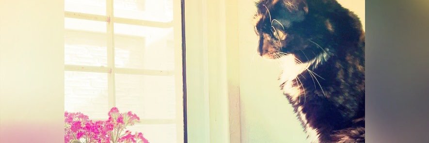 adrichauran's profile banner image