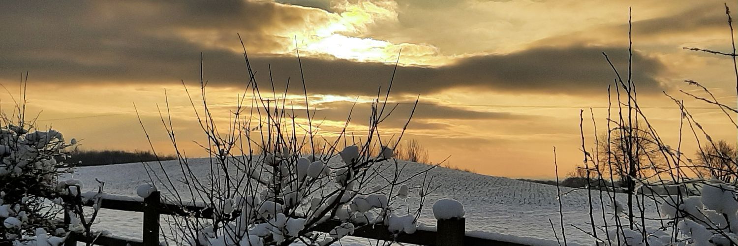 Spikeyorks's profile banner image