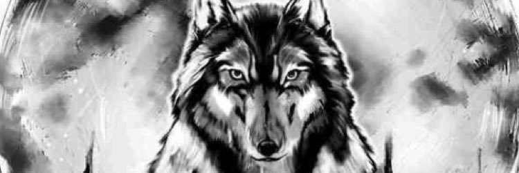 llRO__'s profile banner image