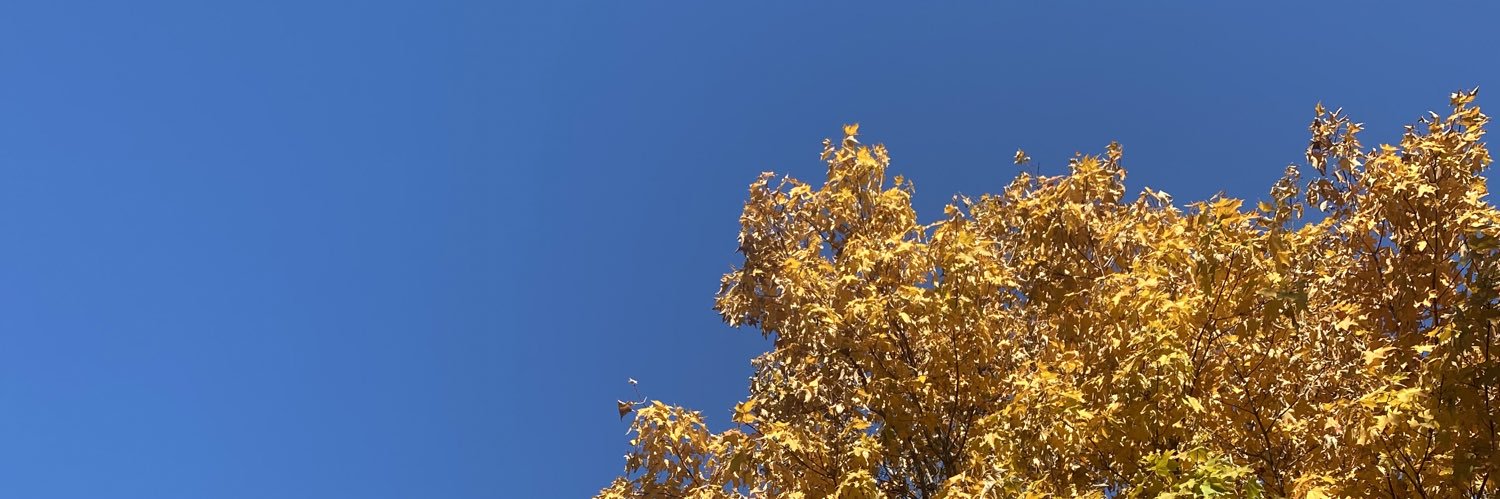 msladymare's profile banner image