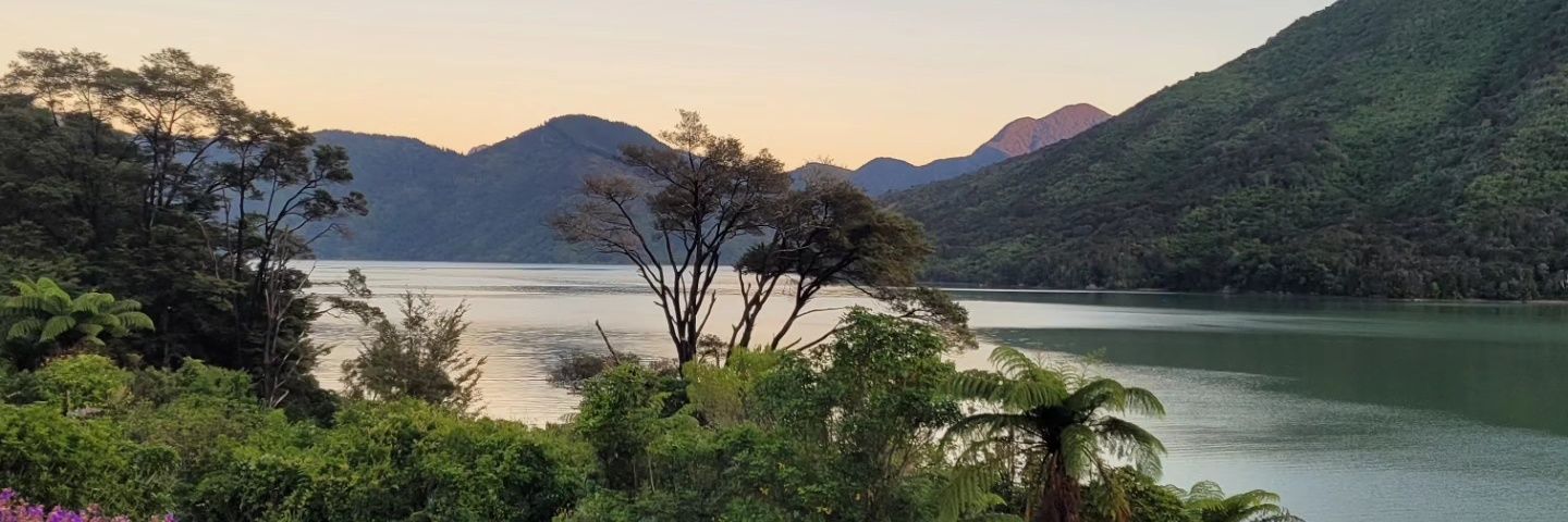 Rosemary Lain-P banner