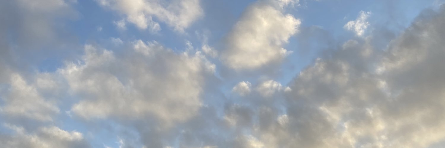 NtnPcisneros's profile banner image