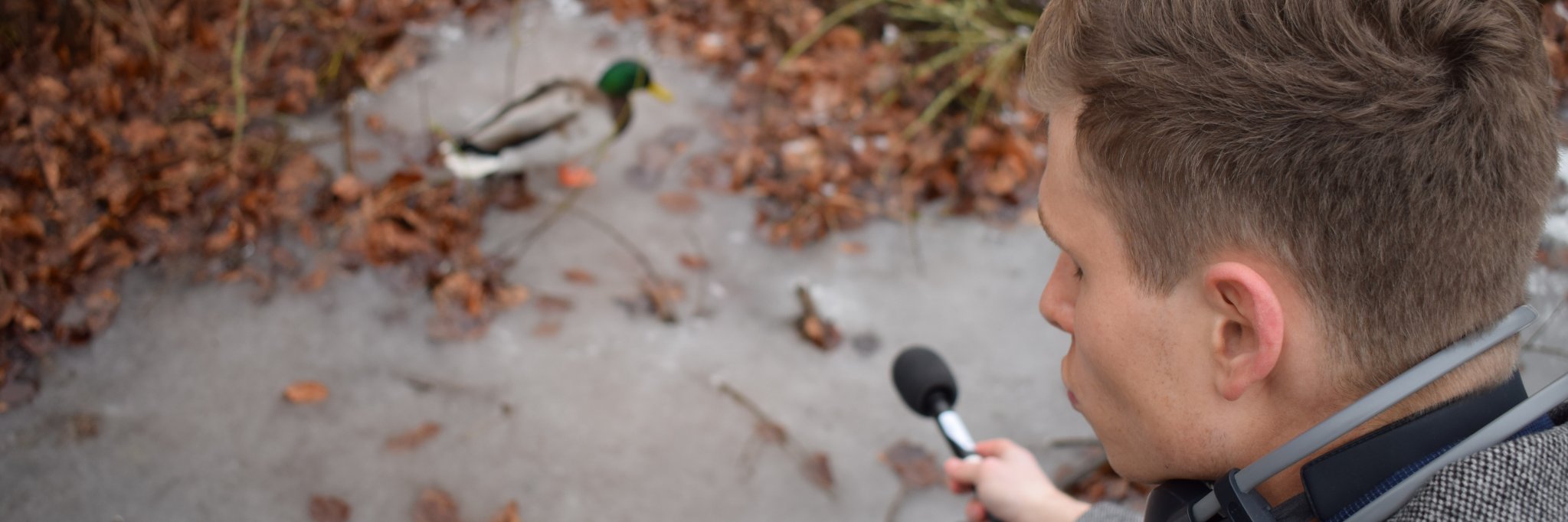 MathiasOldager's profile banner image