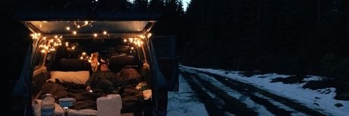 KaloniceFox's profile banner image