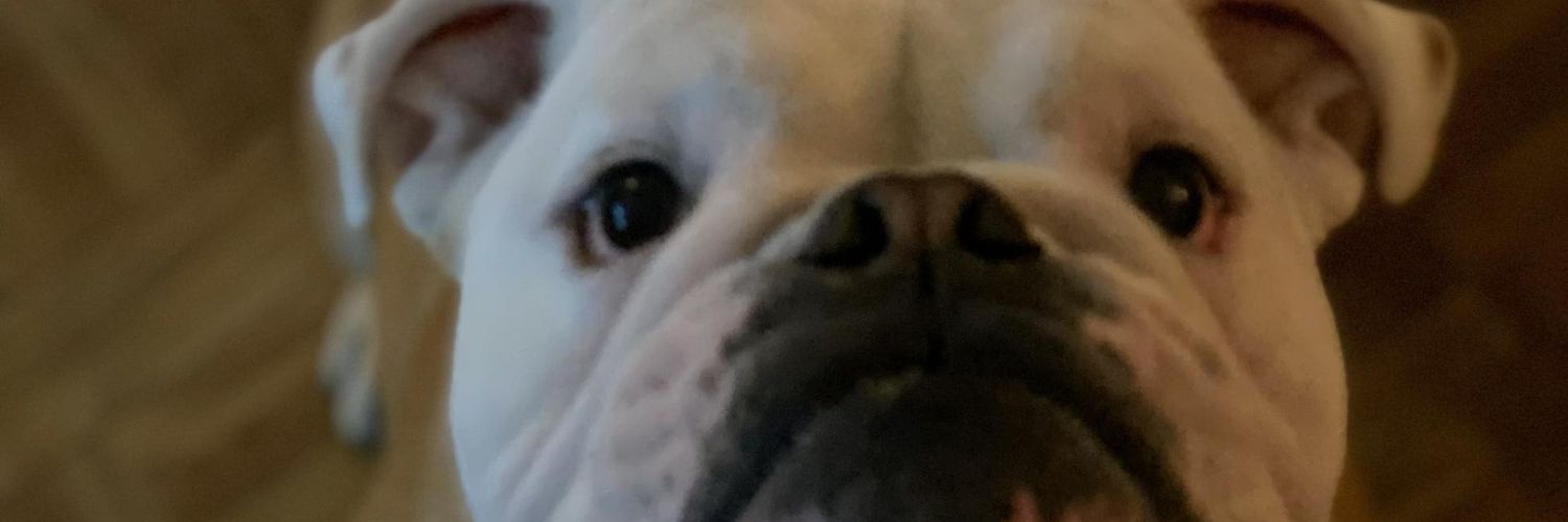 Cadyyyyy's profile banner image