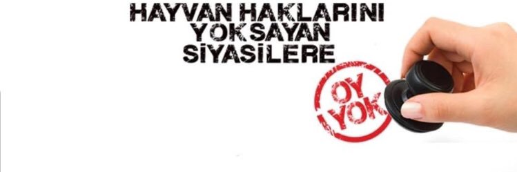 E. Karaca banner
