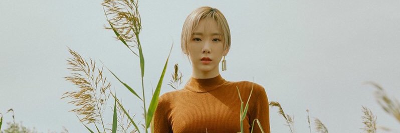 メイサ 𓆡 banner